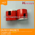Cast Alnico Zylinder Magnet D20x8 für Permanentmagnet-Generatoren